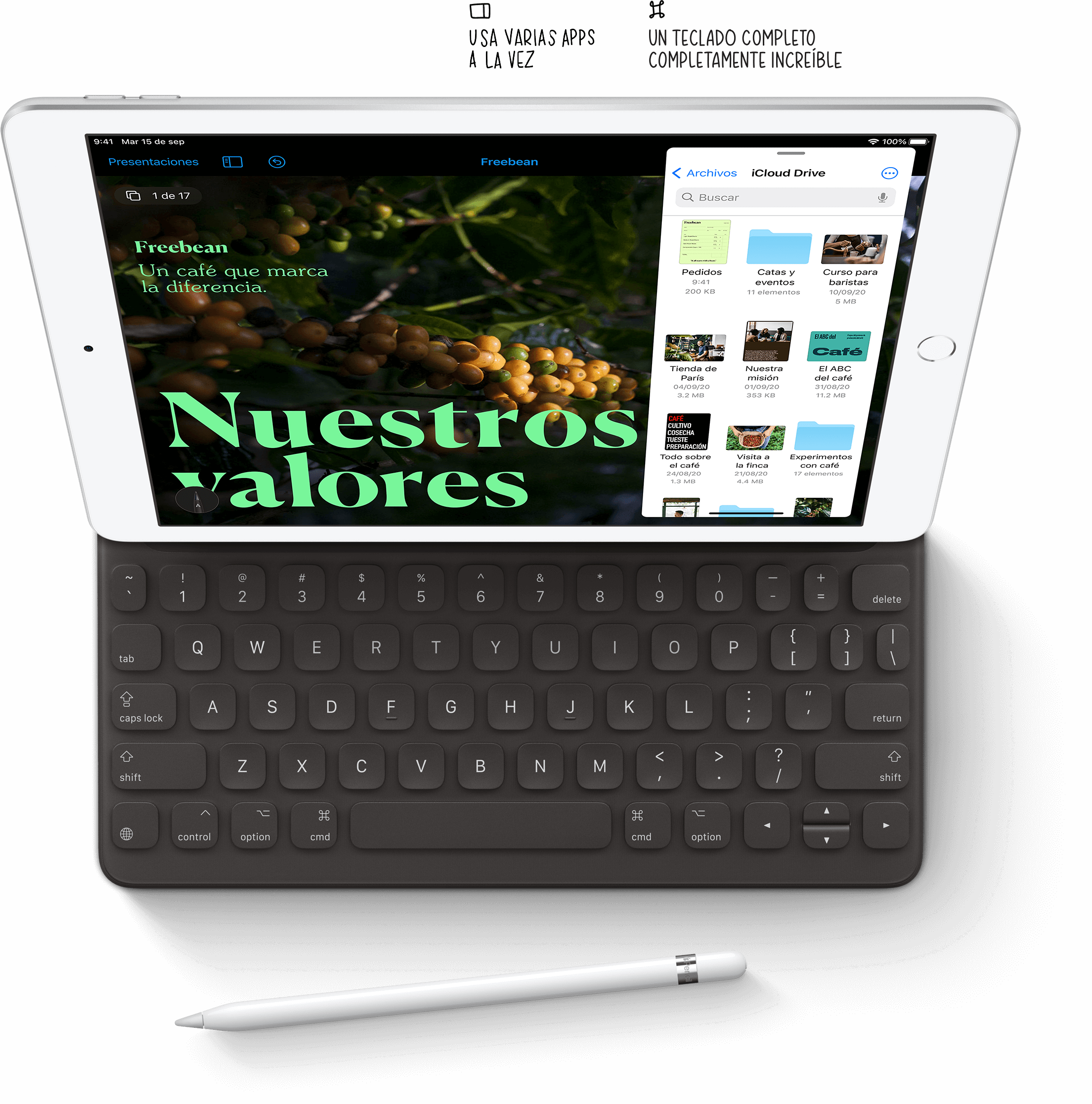 iPad