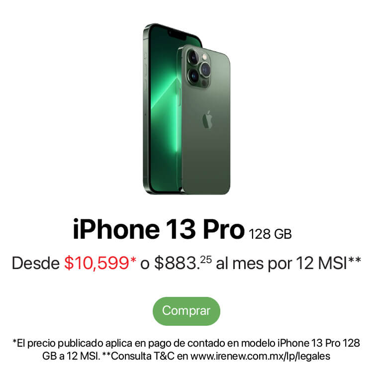 PP iPhone 13 Pro